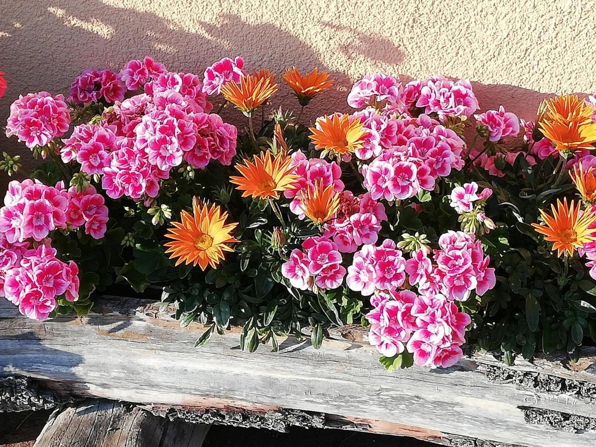Ferienwohnung Angerlgut Sankt Koloman Exterior foto
